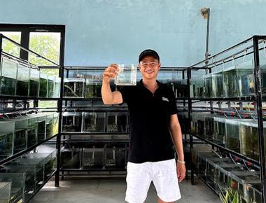 Các Diễn Đàn và Nhóm Mạng Xã Hội về Guppy Bạn Nên Tham Gia