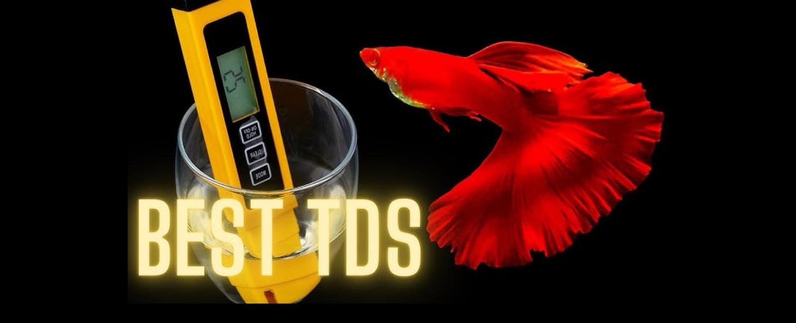 Mức TDS Lý Tưởng Cho Cá Guppy