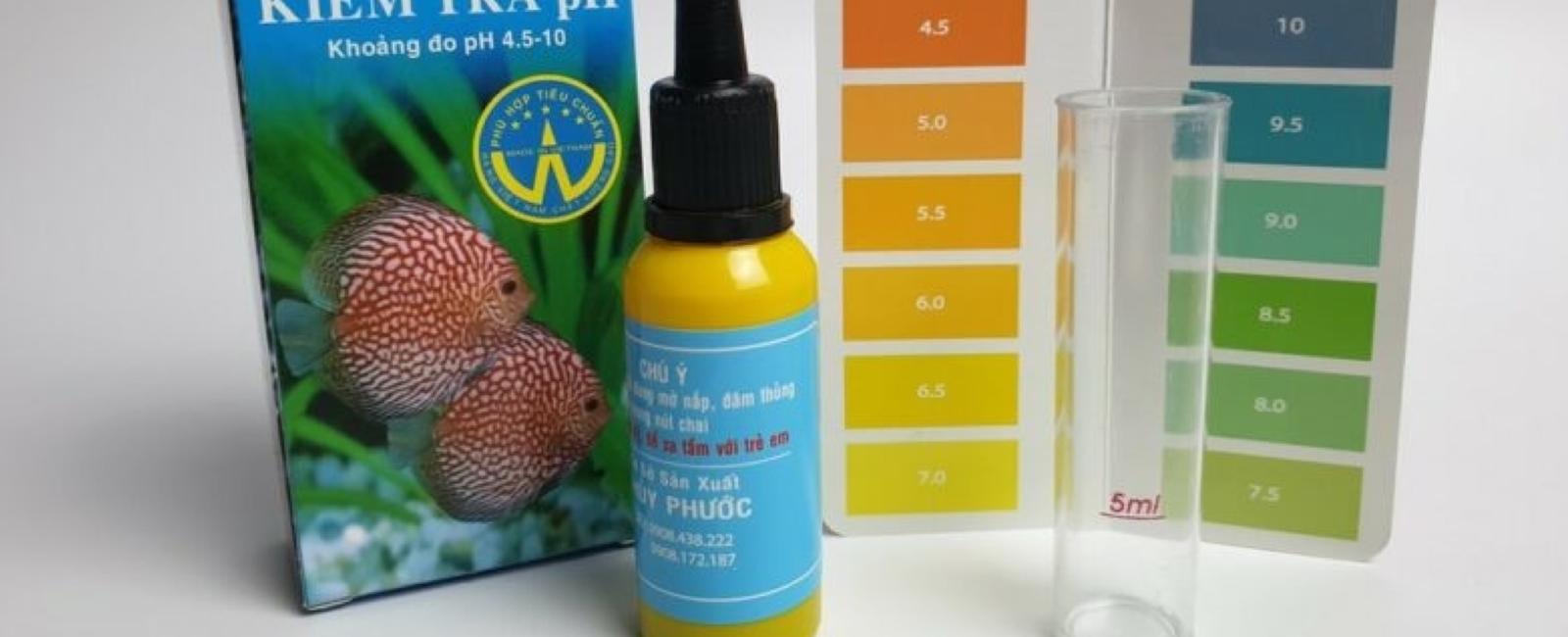 Cách Duy Trì Nhiệt Độ và Độ pH Lý Tưởng Cho Bể Guppy