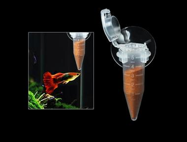 Hướng Dẫn Cách Cho Cá Guppy Ăn Artemia Đúng Cách