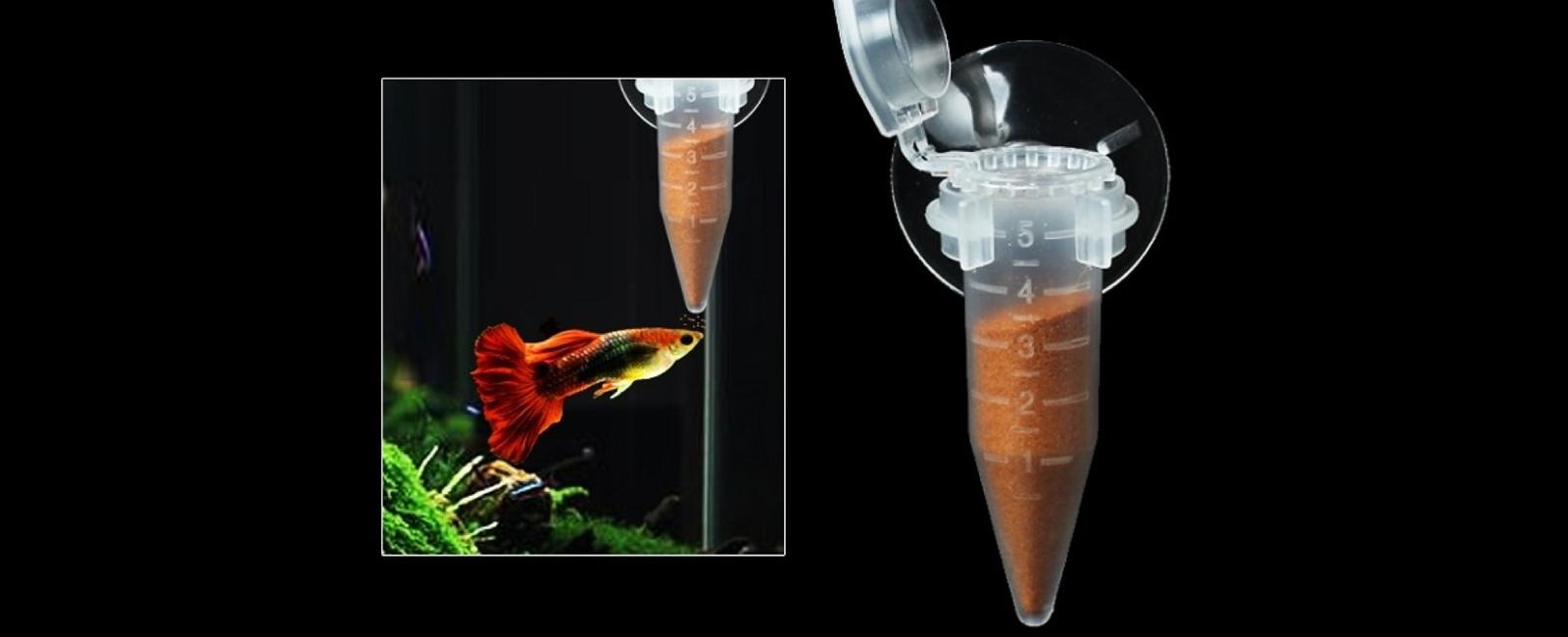 Hướng Dẫn Cách Cho Cá Guppy Ăn Artemia Đúng Cách