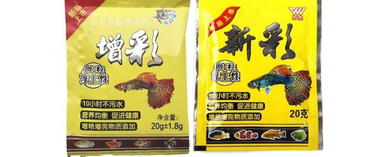 Top 5 loại thức ăn tốt nhất cho cá guppy